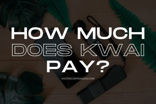How much does kwai pay