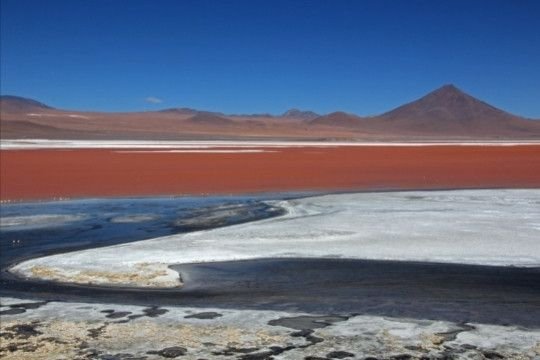 Laguna Colorada