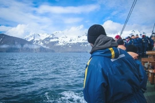 avistamiento de ballenas Islandia