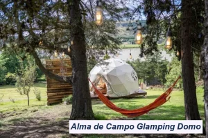 Alma de Campo Glamping Domo
