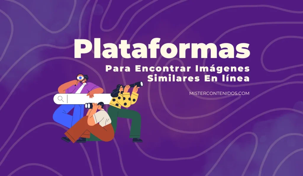 Plataformas Para Encontrar Imágenes Similares En línea